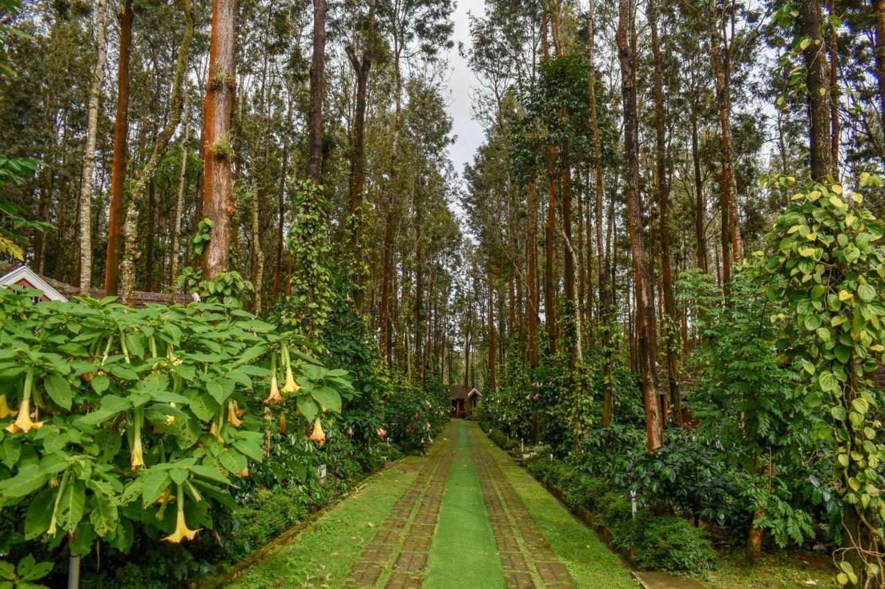 Coffee Grove Resort Chikmagalūr Exteriör bild