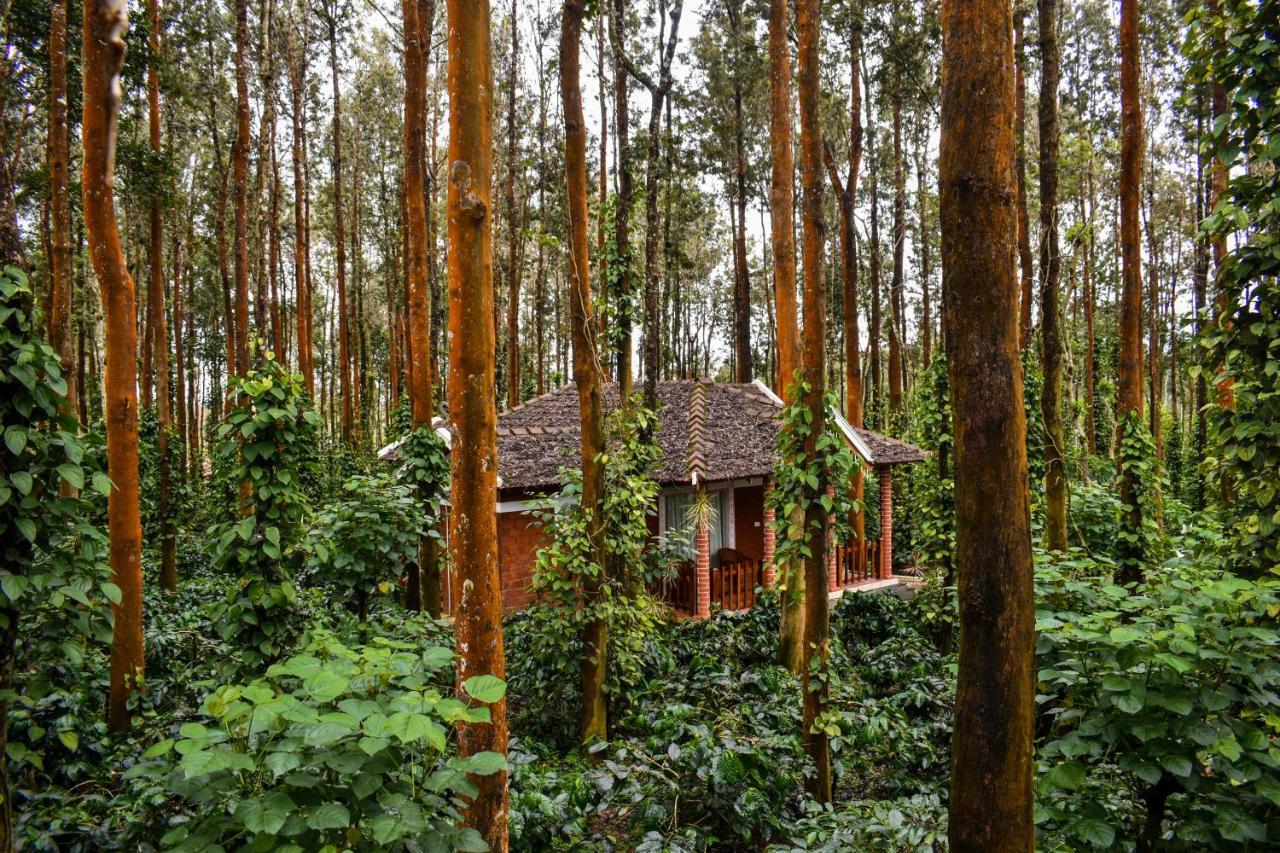 Coffee Grove Resort Chikmagalūr Exteriör bild