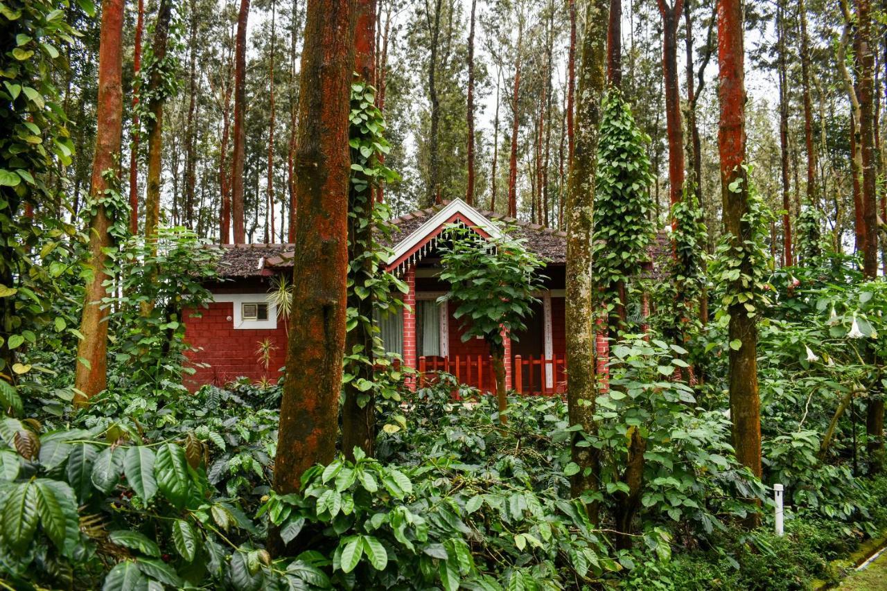 Coffee Grove Resort Chikmagalūr Exteriör bild
