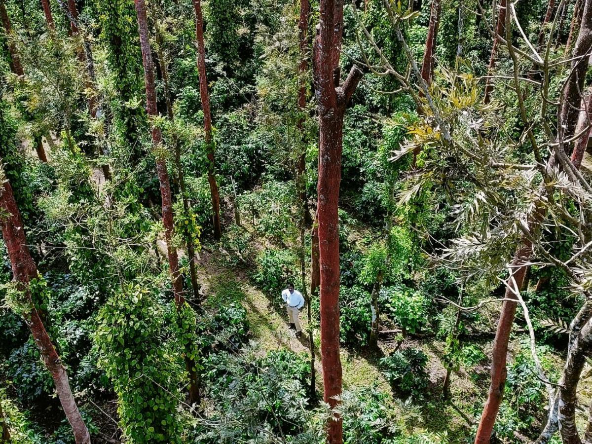 Coffee Grove Resort Chikmagalūr Exteriör bild