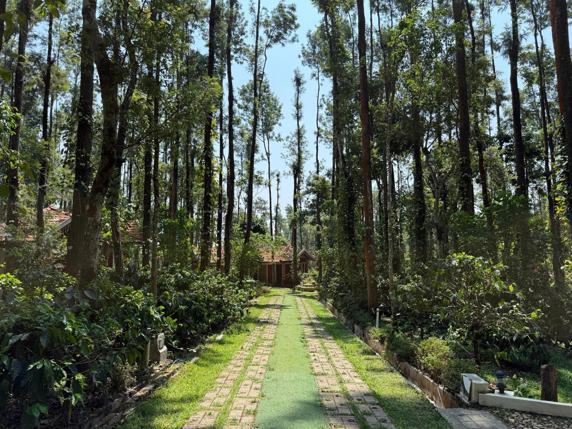 Coffee Grove Resort Chikmagalūr Exteriör bild