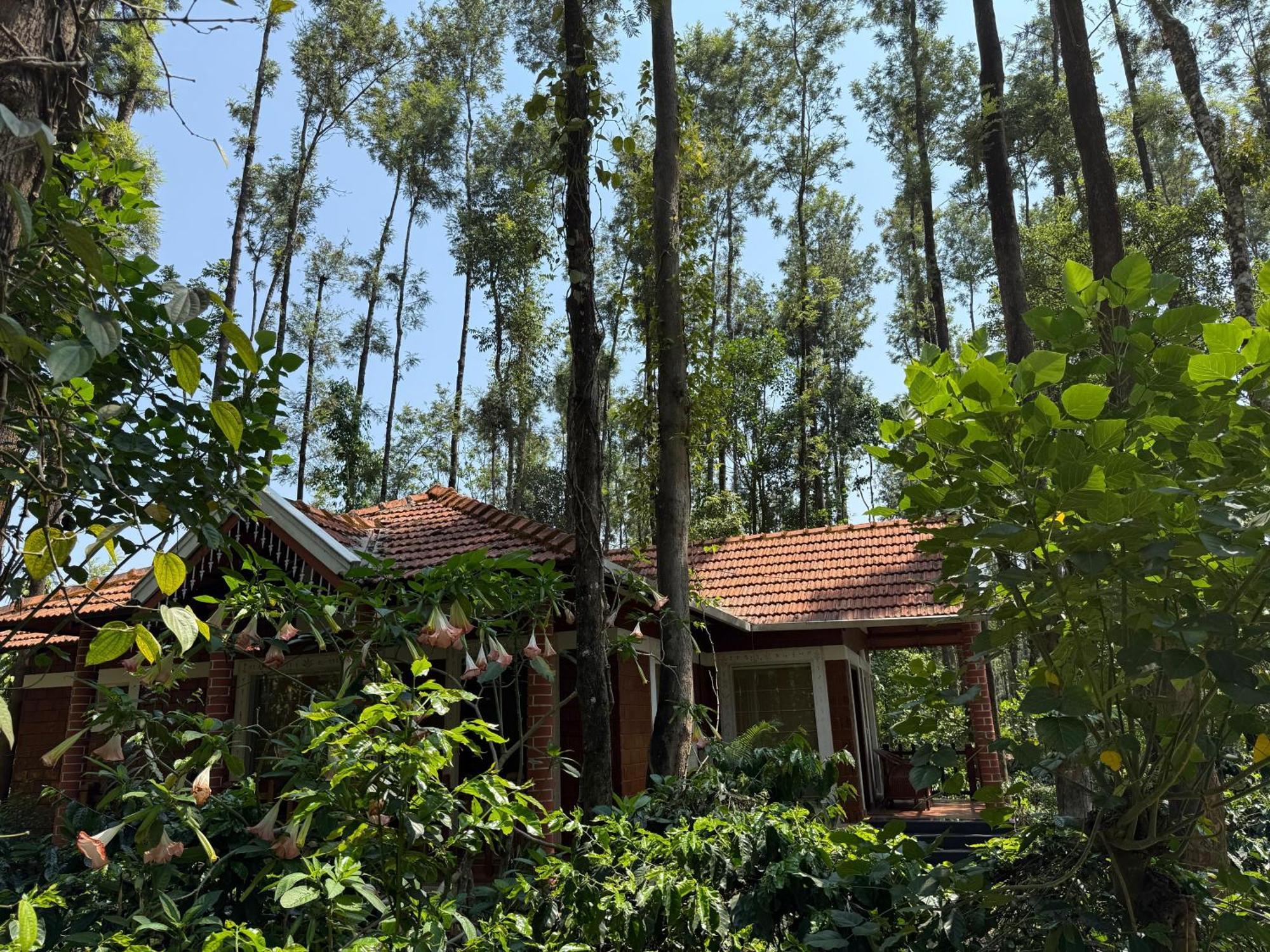 Coffee Grove Resort Chikmagalūr Exteriör bild