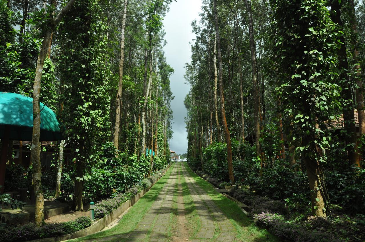 Coffee Grove Resort Chikmagalūr Exteriör bild